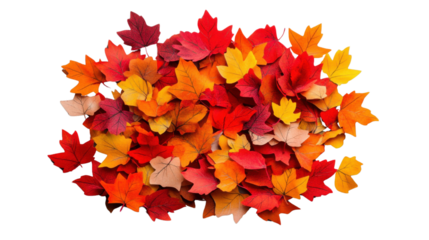 Colorful autumn maple leaves falling on transparent background