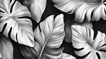 Detailed black and white depiction of large tropical leaves