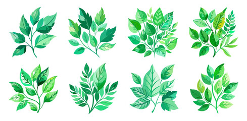 Set of eight watercolor-style illustrations of various green leaves and branches, isolated on a white background.