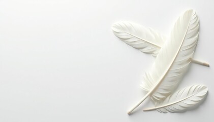 Pure white feathers softly arranged on a stark white surface, decorative, white, fluffy