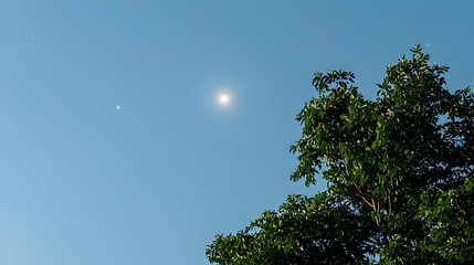 Obraz premium Bright Sun Illuminating Blue Sky With Green Tree Foliage Sunlight Through Leaves And Branches