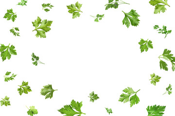 Fototapeta premium Fresh parsley leaves in air on white background. Frame with space for text