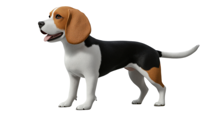 Playful beagle standing and panting on transparent background