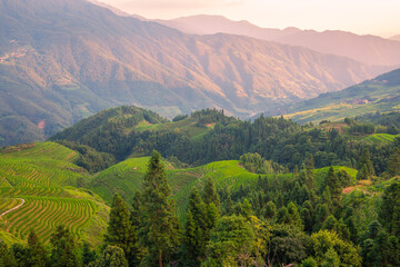 Longji Rice Terraces: The artistic beauty of nature