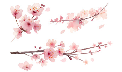 Creative 2D Doodle Floral Illustrations on White Background