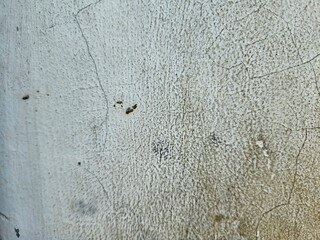 Cracked wall with rough texture and subtle stains