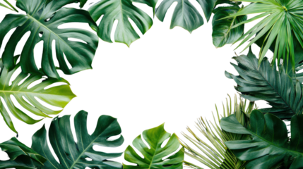 Tropical leaves frame creating empty space on transparent background
