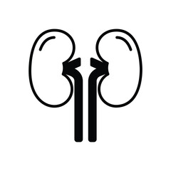 kidney Vector icon