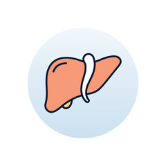 liver Vector icon