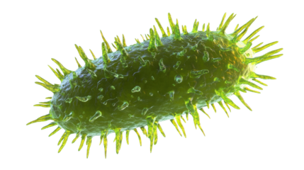 green bacteria cell isolated on white background