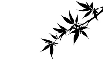 Black and white Olive or bamboo leaves with a decorative nature-inspired design. Hand Drawn Illustration of an Olive or Bamboo branch shadow shilluation.