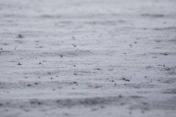 Raindrop texture in the middle of the lake