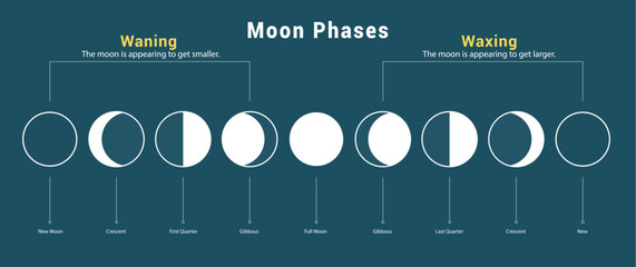 Moon phases drawing chart clipart set. Moon waning and waxing phases chart in lunar outline hand drawn clip art for elementary science education vector illustration. 
