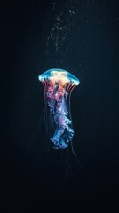 Luminous Drifter: The Enigmatic Jellyfish of the Abyss