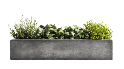 Concrete flower box with herbs and shrubs growing on transparent background