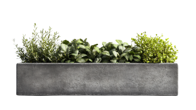 Concrete flower box with herbs and shrubs growing on transparent background