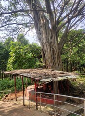 Mahamaya Temple of Bogribari, about 30 km east from Dhubri town is regarded as a greatest Shakti Peethas for Hindu pilgrims.