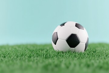 Fototapeta premium Soccer ball on green grass