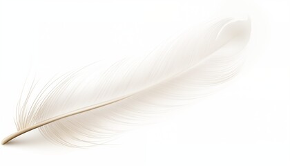 Obraz premium white feather isolated on white