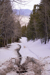 muddy tracks on a snowy road