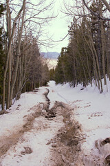 muddy tracks on a snowy road