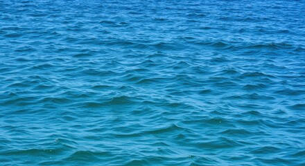 The vibrant blue ocean water with gentle waves creates a serene atmosphere, reflecting sunlight and embodying nature's beauty for a calming and relaxing experience.