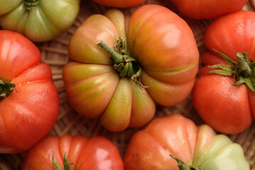 Fresh organic Italian tomato food ingredient healthy vegetable