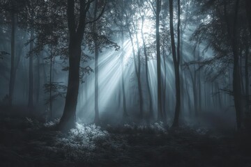 Fototapeta premium ancient misty forest at dawn twisted trees draped in luminous moss ethereal light beams piercing through dense fog creating mysterious depth