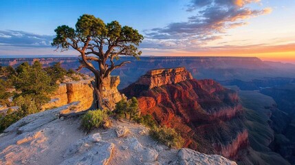 Fototapeta premium Breathtaking Sunset Over Grand Canyon with Majestic Tree in Foreground and Vibrant Colors