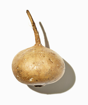 Clean Fresh Jicama with Shadow on White Background
