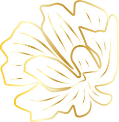 Golden Floral Decoration Ornament Design 