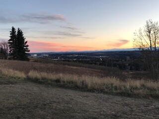 sunset in the forest