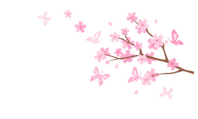 Cherry blossom Sakura flower branch, flying petals and butterfly isolated on white background vector. 