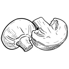 mushroom handdrawn illustration