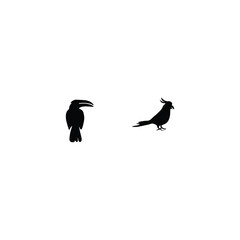 Black Bird silhouette