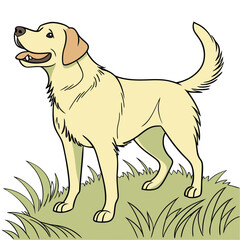 Labrador Retriever Dog Illustration