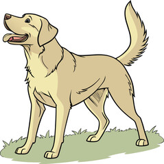 Labrador Retriever Dog Illustration
