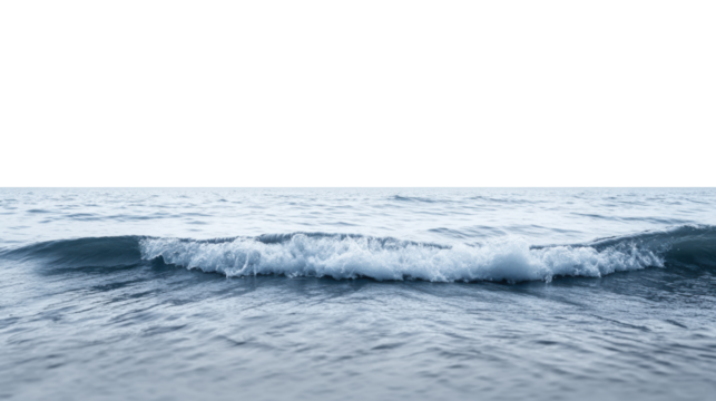 Gentle ocean wave forming white foam on transparent background