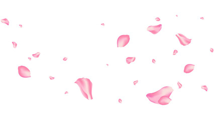 rose and sakura flying petal romantic background vector