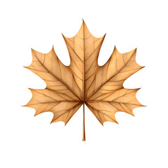 Obraz premium Illustration of a Detailed Golden Brown Maple Leaf on Transparent Background Isolated Object Perfect for Autumn Season Design Element and Decoration in Nature Style
