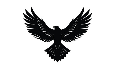 Obraz premium Eagle Wings Spread Top View