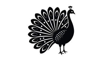 Fototapeta premium Peacock Detailed Tail Black Silhouette