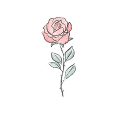 rose