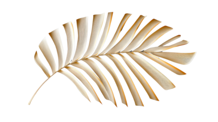 Golden palm leaf shining on transparent background