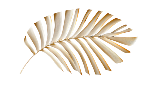 Golden palm leaf shining on transparent background