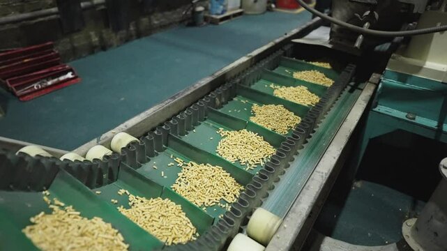 Wood pellet conveyor system in production for renewable biomass fuel, energy solution