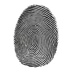 fingerprint vector illustration