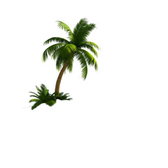 Obraz premium Illustration of a Green Palm Tree on Transparent Background Isolated as a Tropical Vacation Island Plant for Summer Nature Design Element