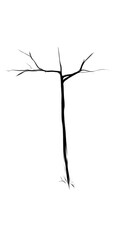 Fototapeta premium Illustration of Bare Tree Silhouette Against Transparent Background a Minimalist Design Featuring Winter Branch Isolated on Dark Background