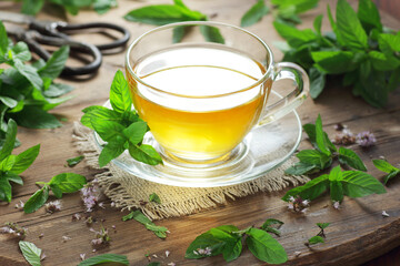 Mint herbal leaf tea with herb leaves nearby on rustic wood, closeup, copy space, healthy homemade  drinks and naturopathy concept